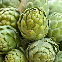 Herb Photo